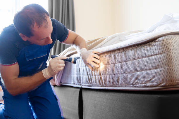 Best Bed Bug Extermination  in Lynchburg, OH